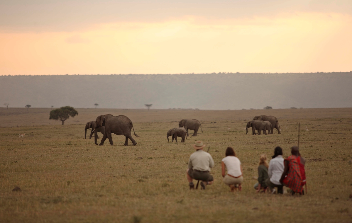 Elephant sighting on a bush walk