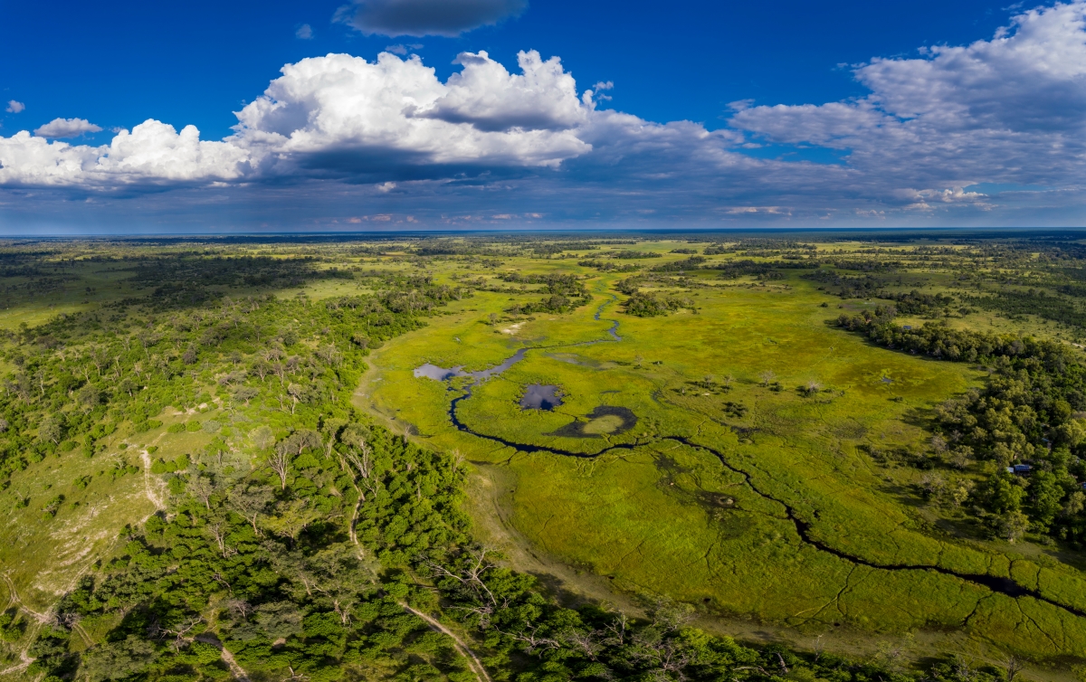 Seemingly boundless Khwai landscape with grassland, trees and waterways