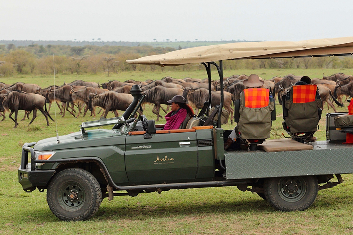 Guests on photographic vehicle observing a herd of wildebeest