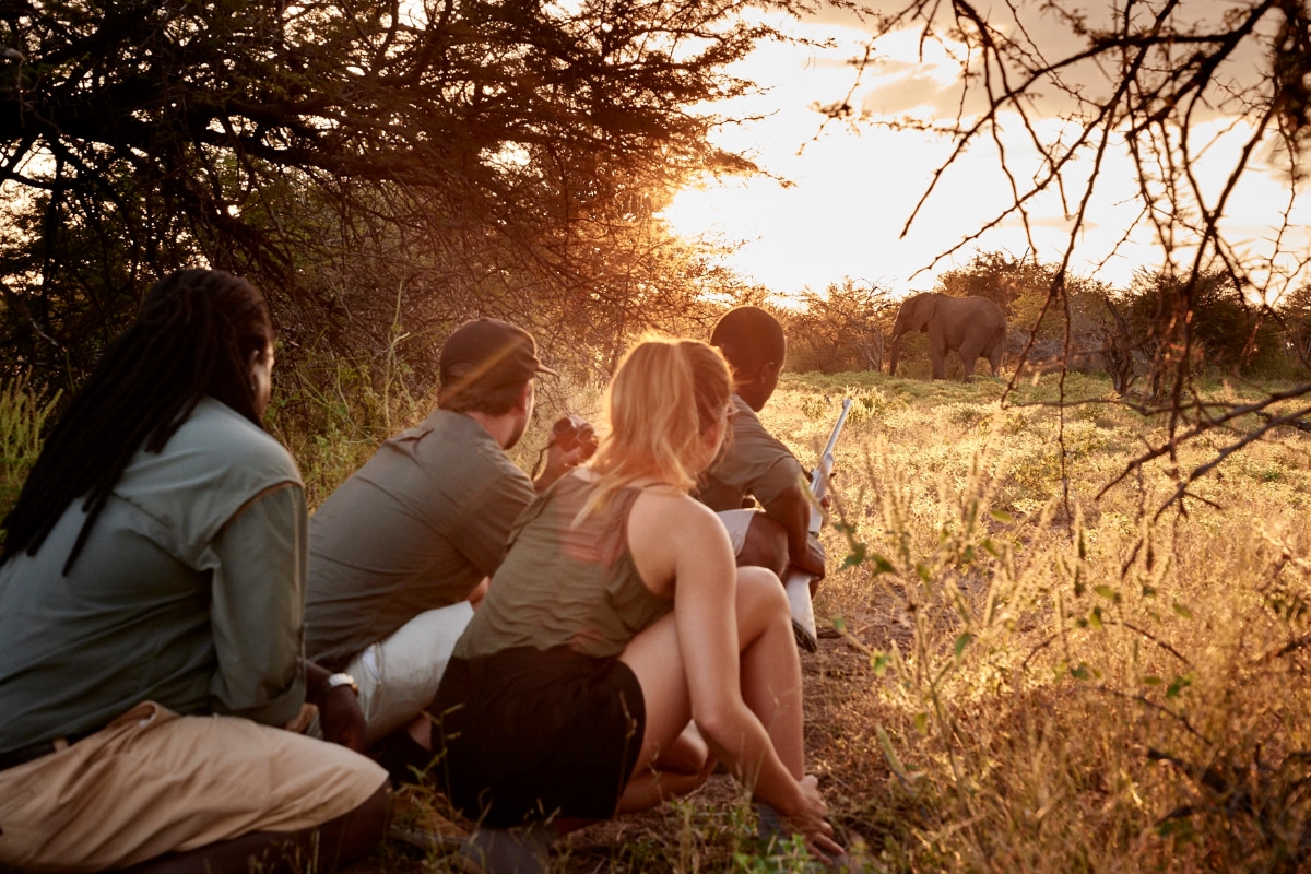 Walking safari in Zambezi National Park