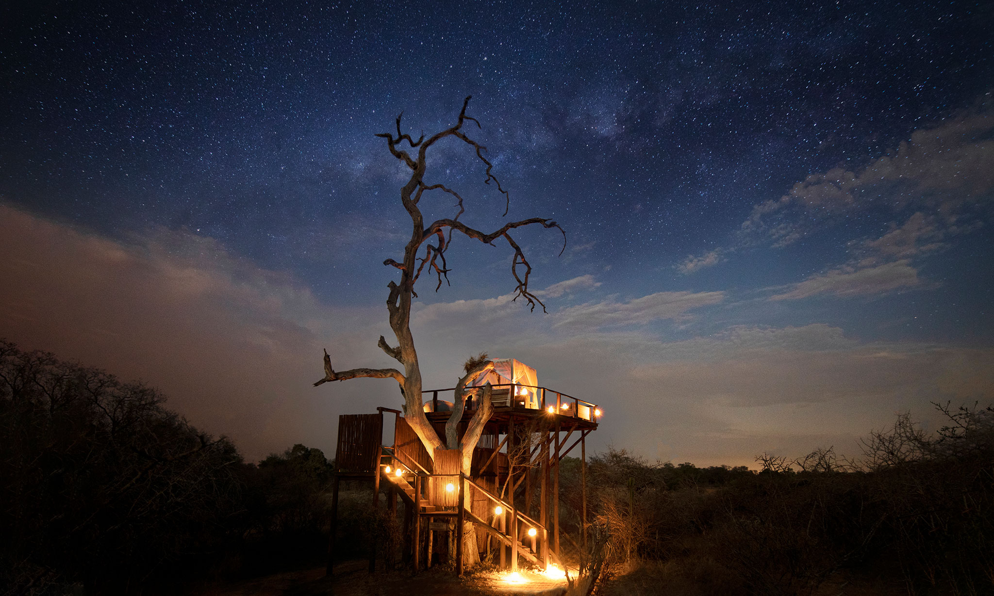 Sleep out in a tree house at Lion Sands