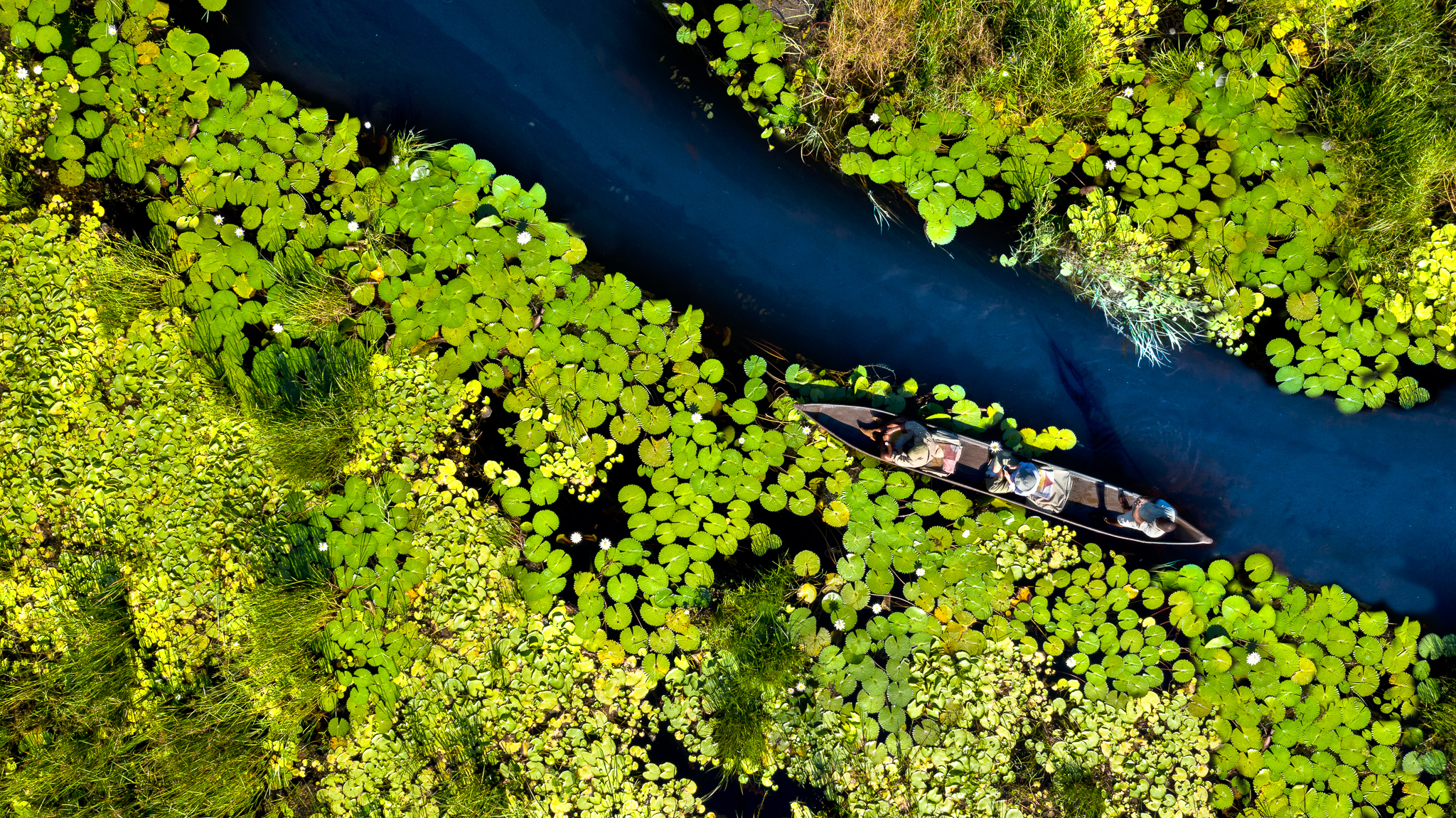 Bird's eye view of a mokoro safari