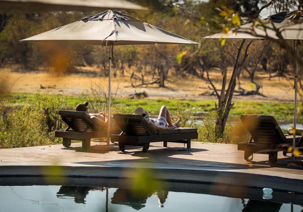 Pool deck overlooking the wilderness