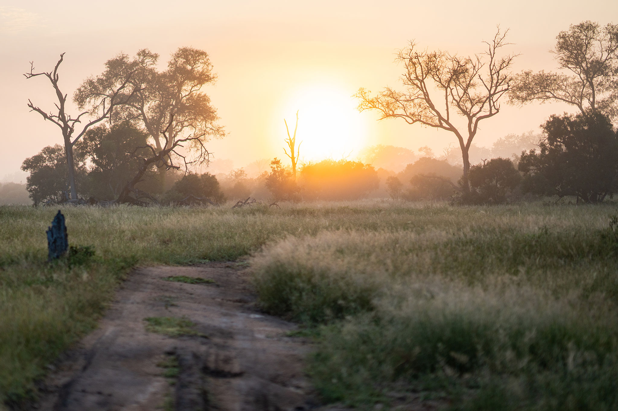 Las puestas de sol en África son de las más bellas del mundo