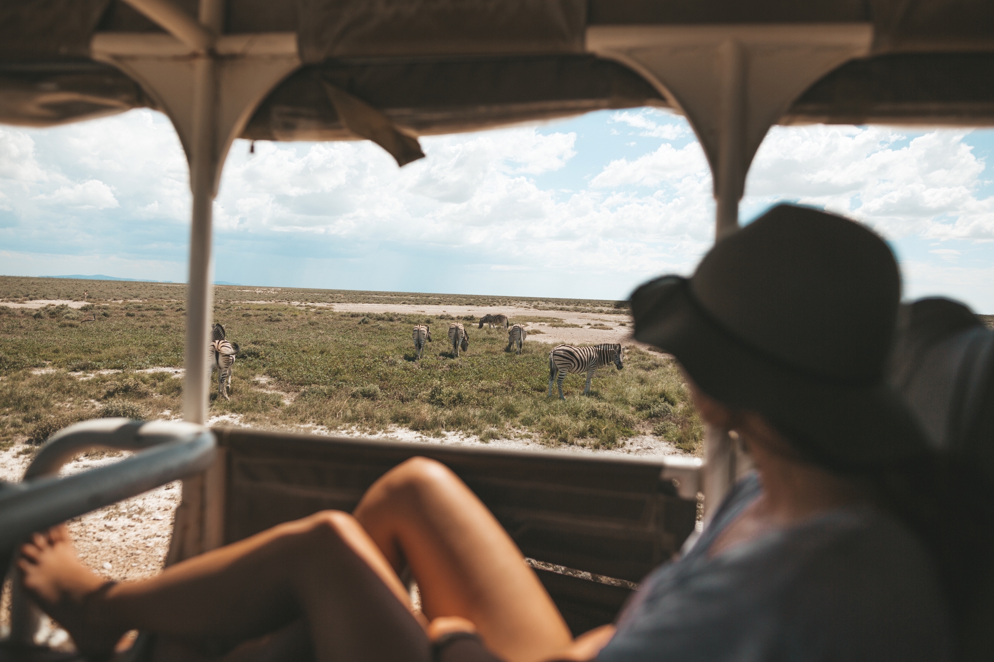 Game drive with zebra sighting