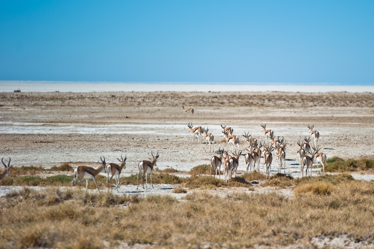 Etosha Pan