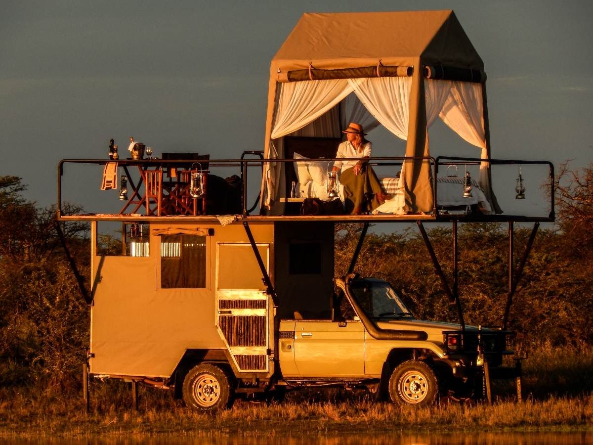 Enjoy a wild evening sleeping amidst nature