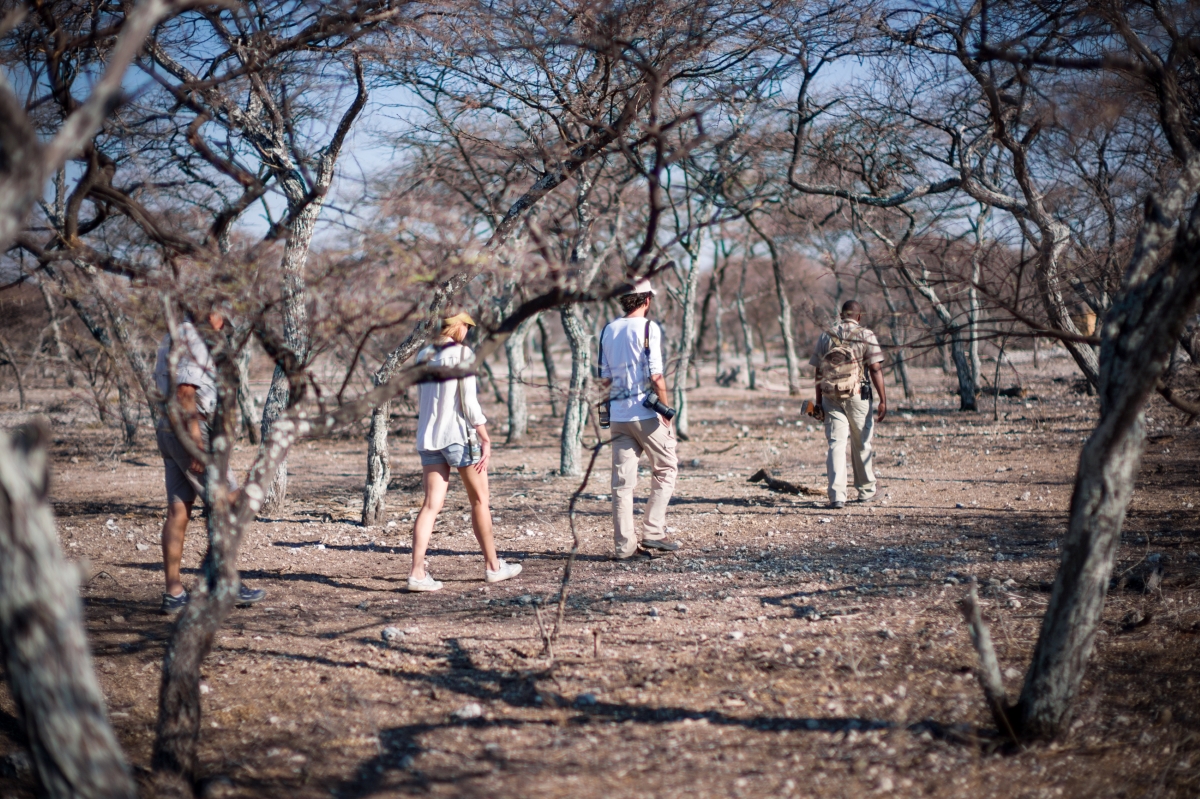 Walking safari in Etosha National Park