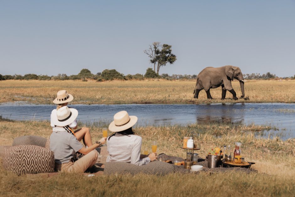 Elephant sighting whilst on a bush picnic