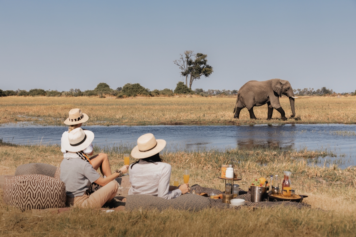 Elephant sighting whilst on a bush picnic 