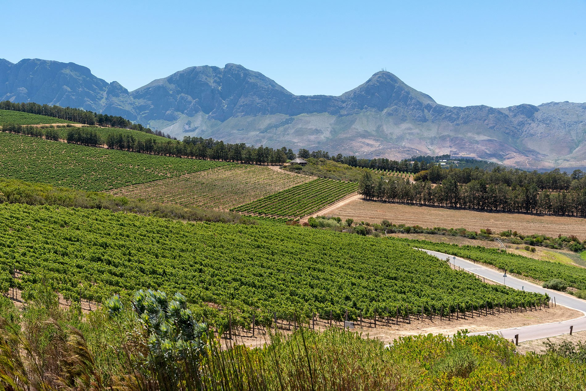 The Waterkloof Wine Estate in Somerset West, Western Cape, South Africa