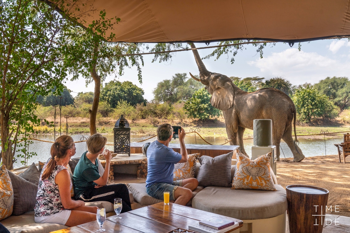 A multi-generational family safari is the chance to forge unbreakable bonds