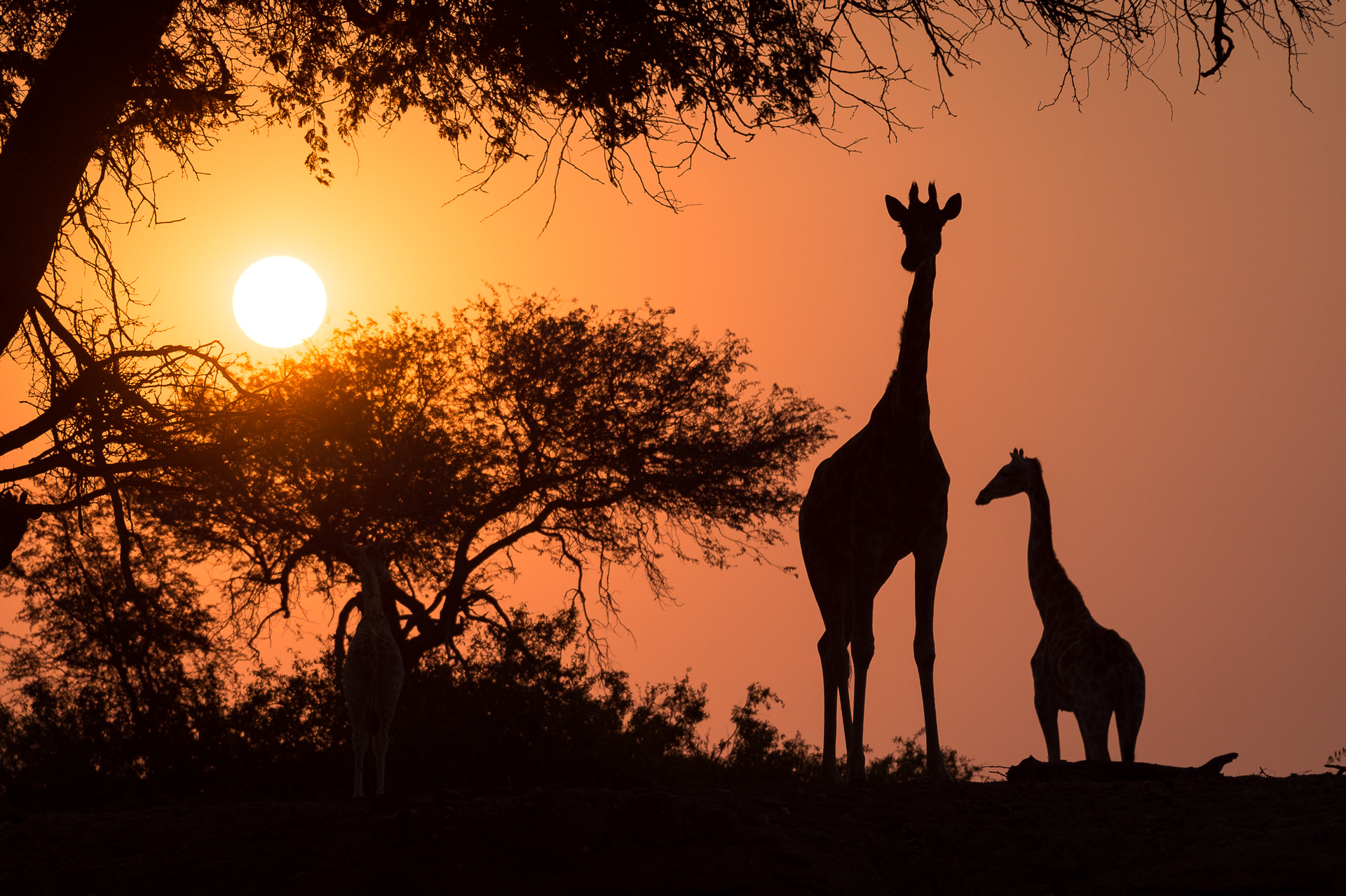 Discover the top destinations for your 2024 African travel bucket list