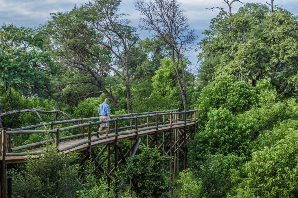 Lush forests in Caprivi Strip