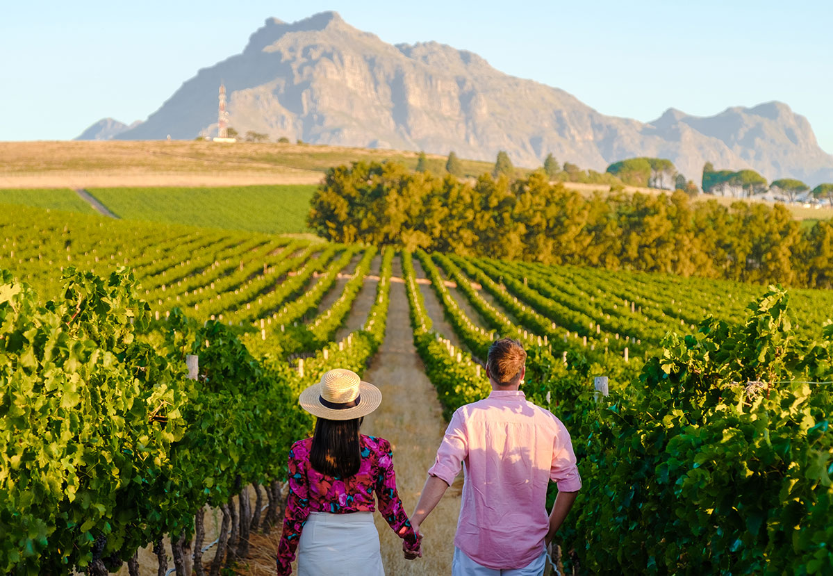 A couple walking in the vineyards at sunset with the mountains in the background.