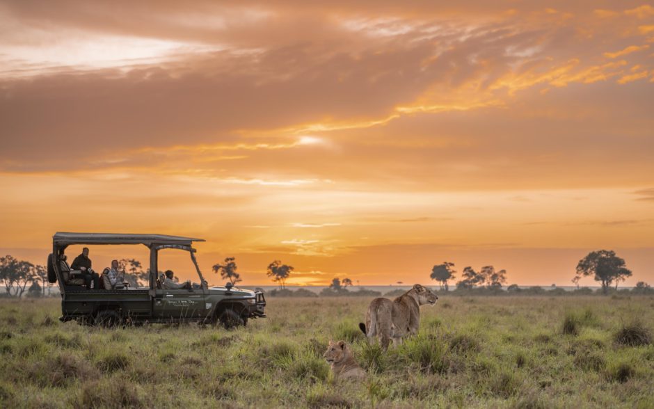 Pure Wanderlust: Auf Safari in der Savanne bei Sonnenuntergang