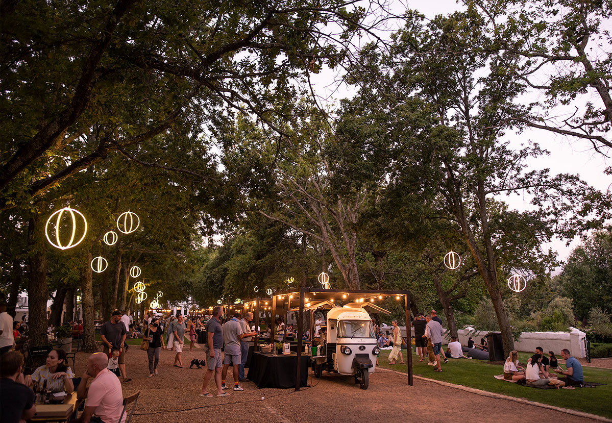 Unwind beneath the historic oak trees twinkling lights