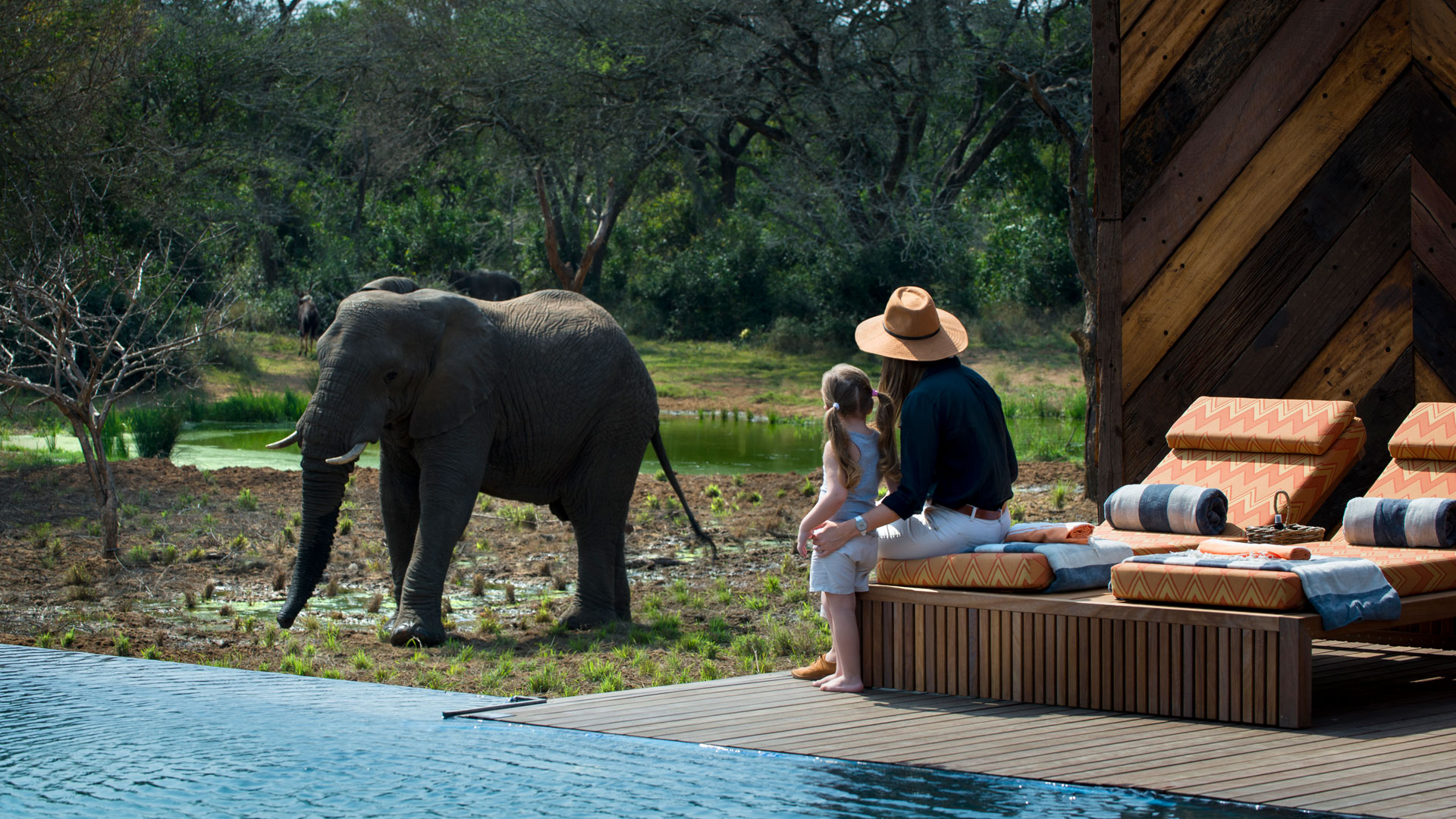 Elephant sighting from one of the lodges