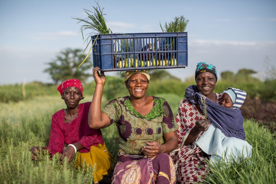 Afrikanische Frauen gehen durch ein Feld und lächeln in die Kamera