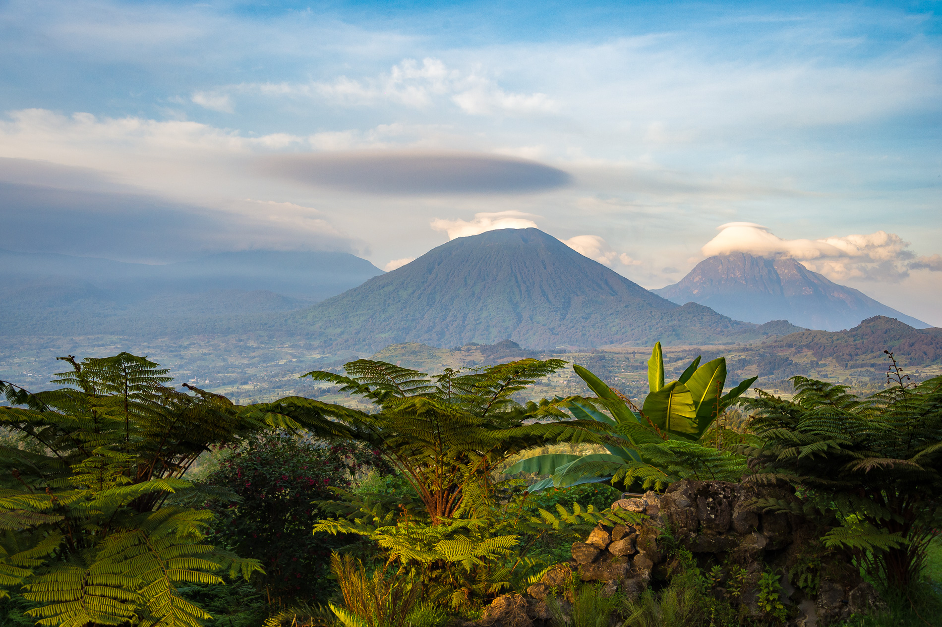 El Parque Nacional de los Volcanes es un Sitio del Patrimonio Mundial y hogar de varias especies en peligro de extinción