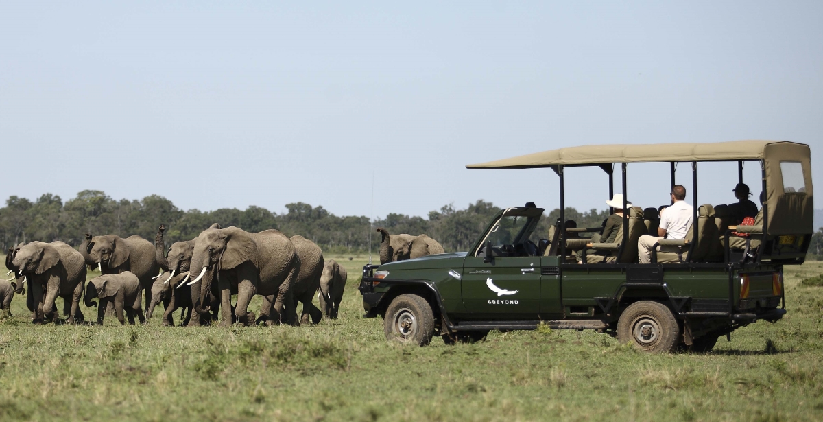 Game drive vehicle coming to a stop to observe elephants