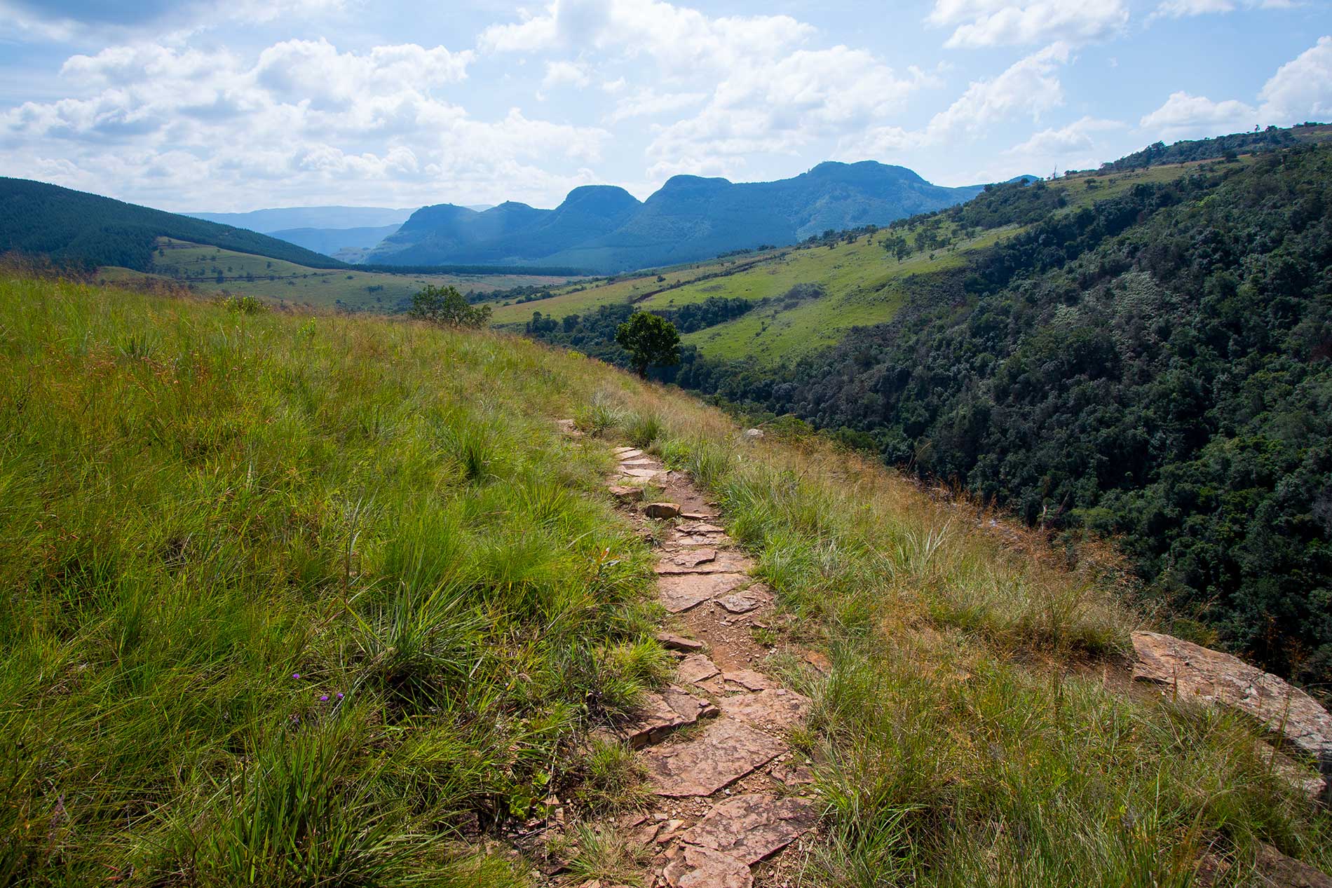 Apreciem uma caminhada até as cachoeiras mais altas ao longo da Rota Panorâmica