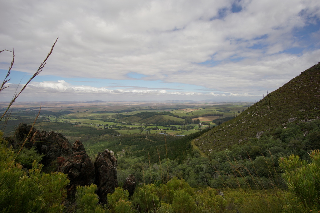 The Marloth Nature Reserve