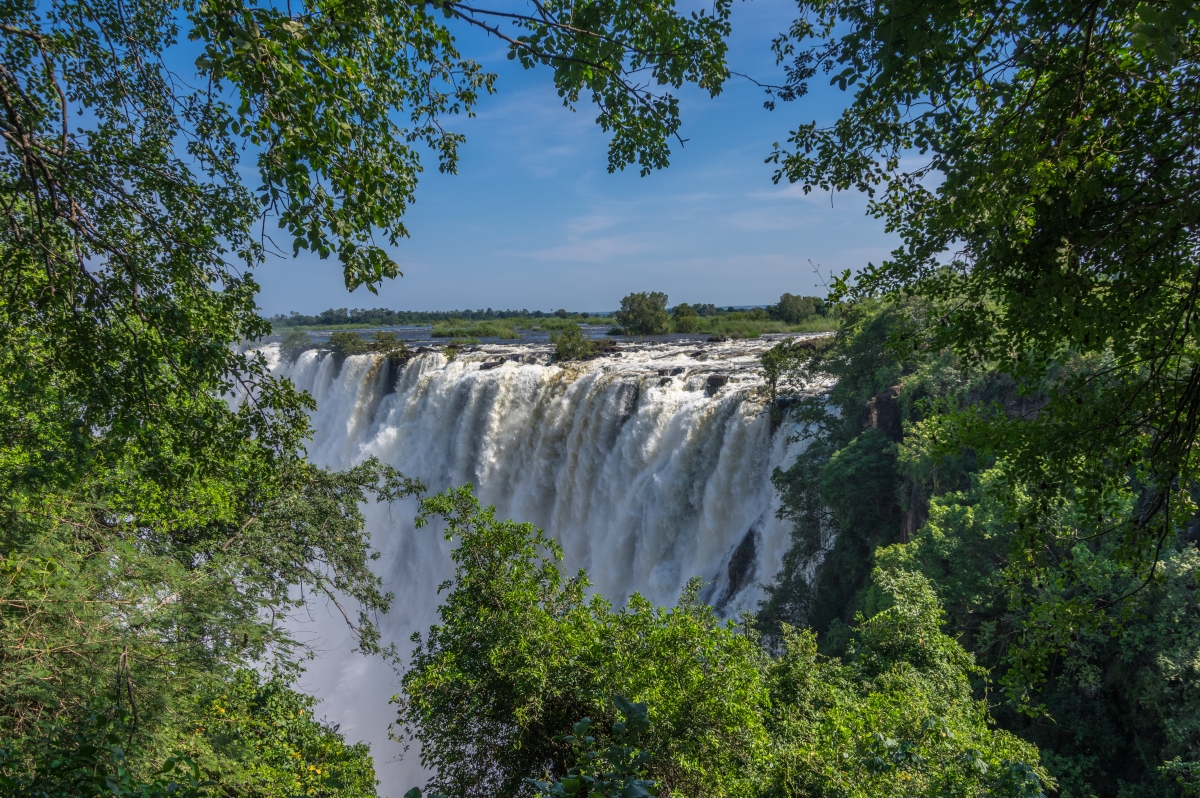 View of the falls from the rainforest