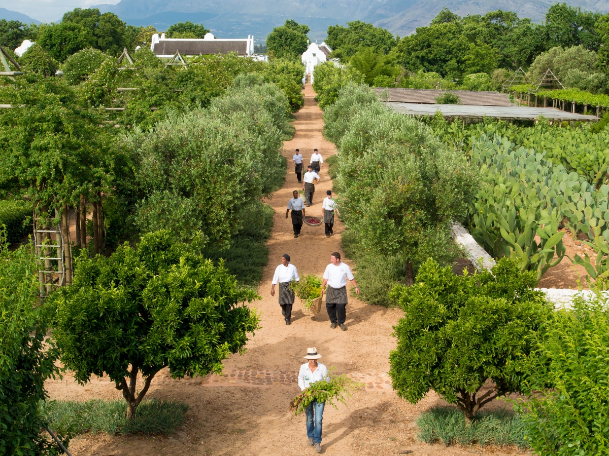 Gardens of Babylonstoren