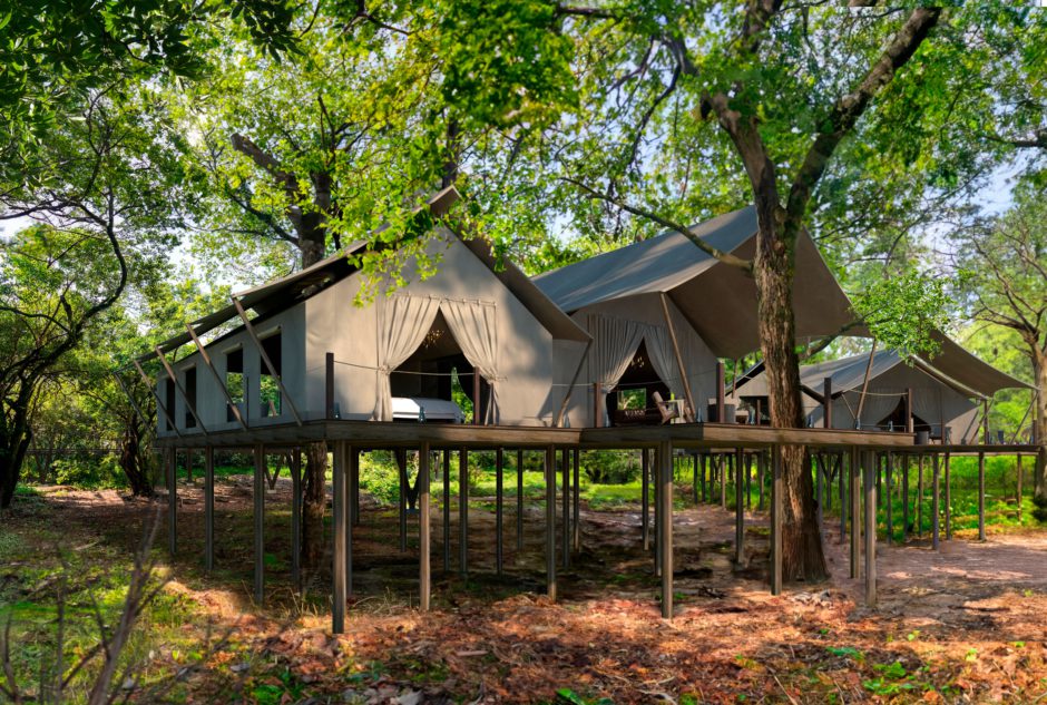 A render of what we can expect Mara Toto Tree Camp to look like